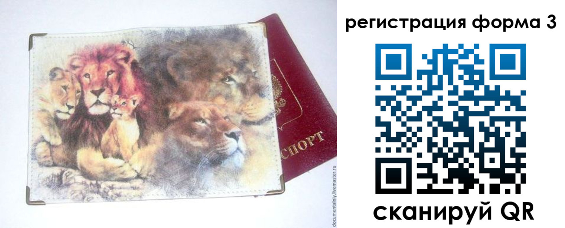 прописка в квартире в Александровске-Сахалинском